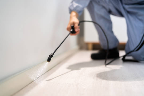 Certified termite inspector examining foundation in Kirtland AFB