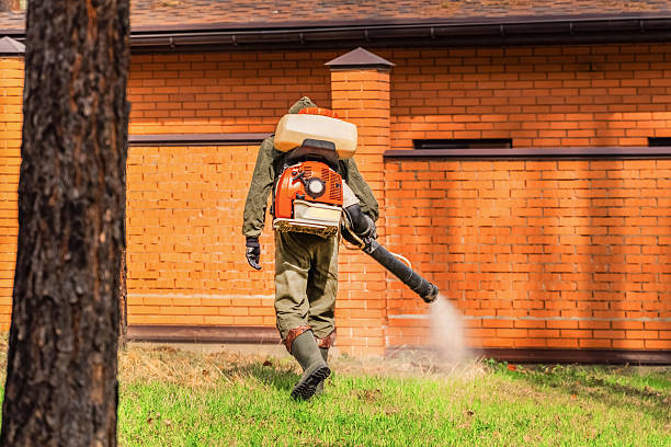 Top rated local Mosquito Control specialists in Kirtland AFB, NM